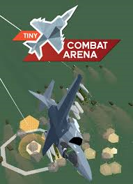 Tiny Combat Arena