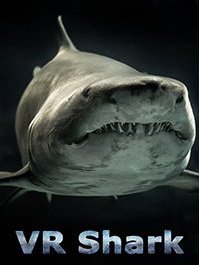 VR Shark
