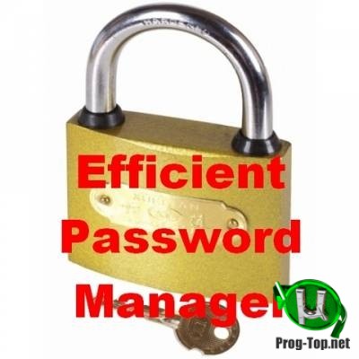 Многофункциональный менеджер паролей - Efficient Password Manager Pro 5.60.559 RePack & Portable by 9649
