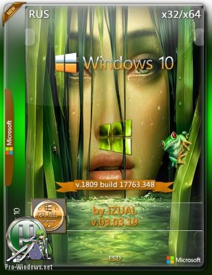 Windows_10_x32 х64_ RS5 v.1809 With Update (17763.348)_IZUAL_03.03.19 (esd)