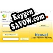 Ключ для Access Password Recovery PROFESSIONAL