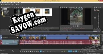 Magix (Sony) Vegas Pro генератор ключей