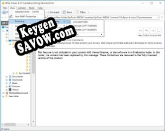 Регистрационный ключ к программе  MSG Viewer