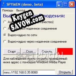Генератор ключей (keygen)  NET Video Spy CLIENT