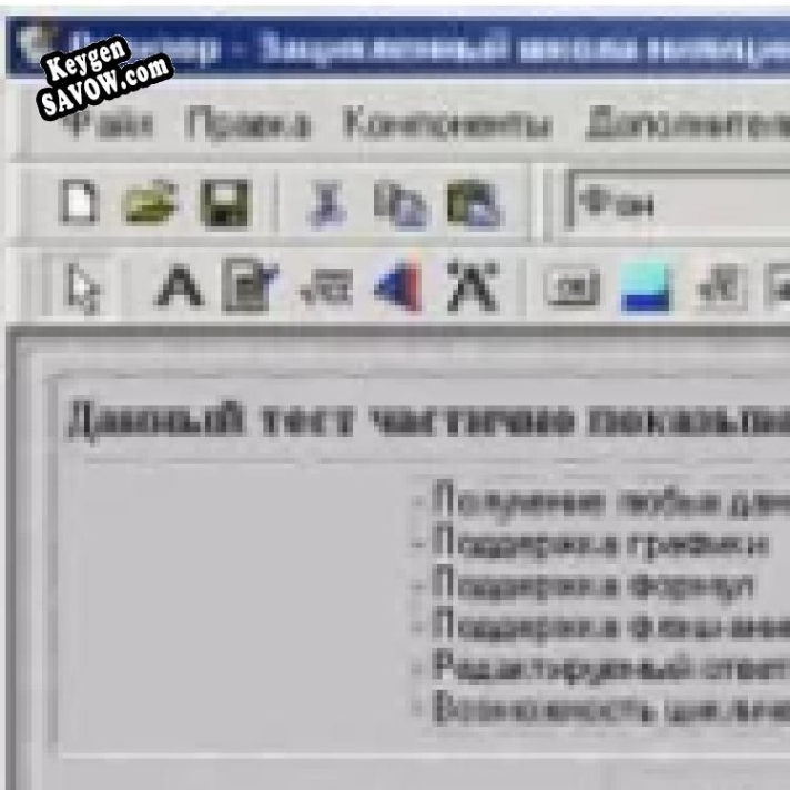 Ревизор ключ бесплатно