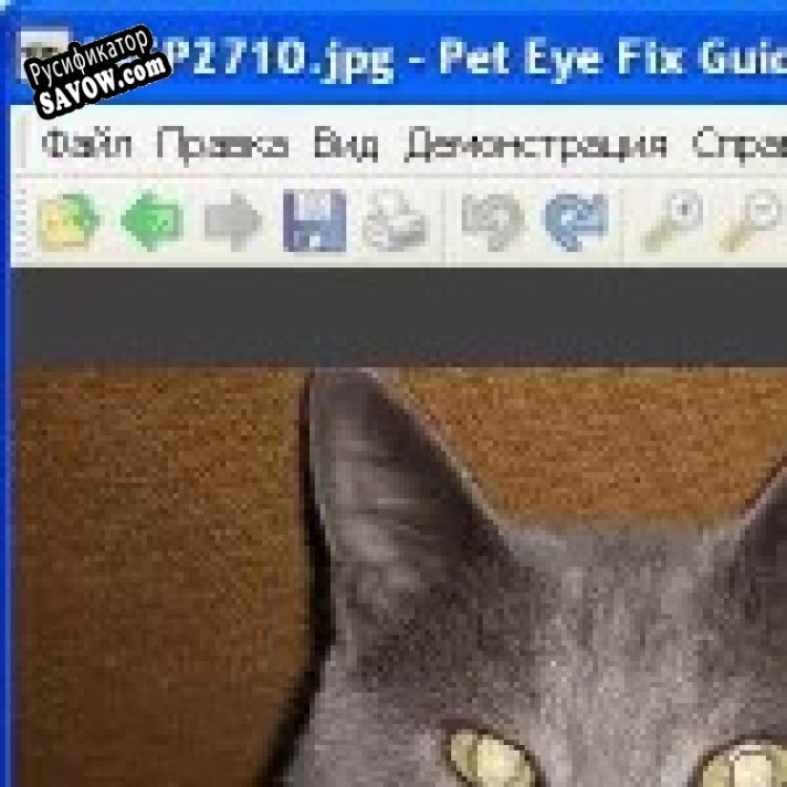 Русификатор для Pet Eye Fix Guide