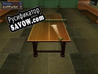Русификатор для Table Tennis Pro